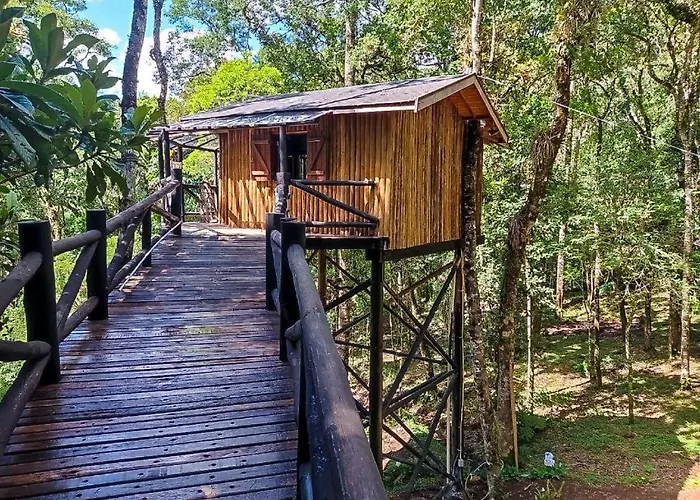 Casa Na Arvore Monte Verde