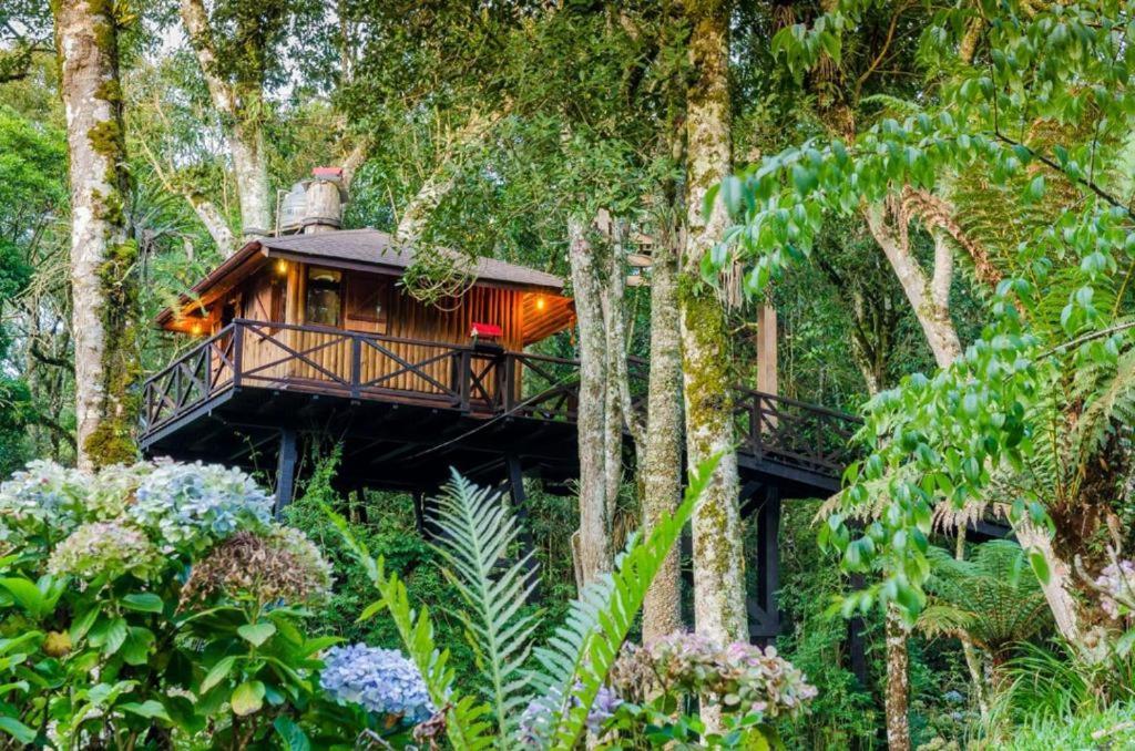 Casa Na Arvore Monte Lodge Monte Verde (Minas Gerais)