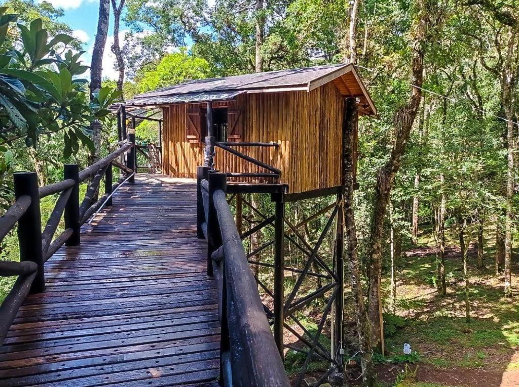 Casa Na Arvore Monte Lodge *