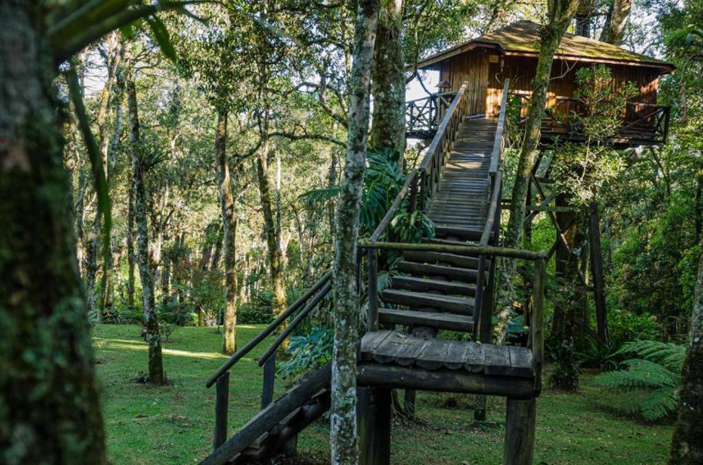 Casa Na Arvore Monte Lodge Monte Verde (Minas Gerais)