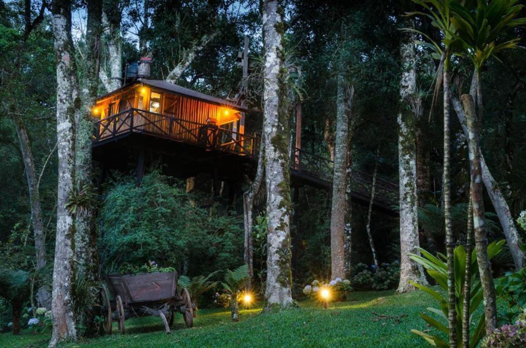 Casa Na Arvore Monte Lodge Monte Verde (Minas Gerais)