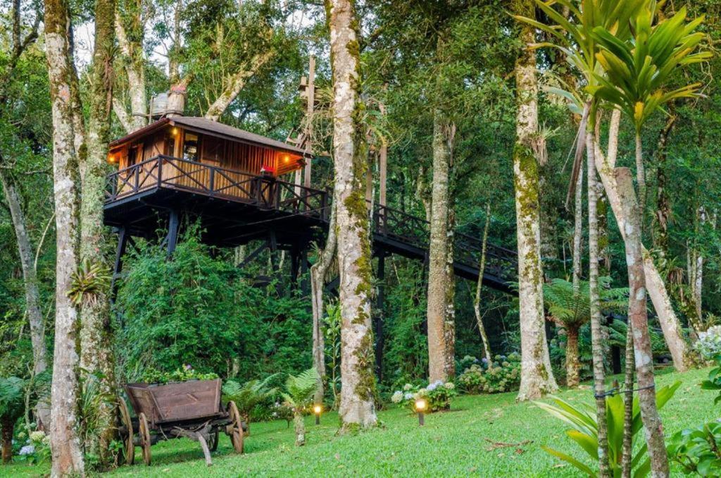 Casa Na Arvore Monte